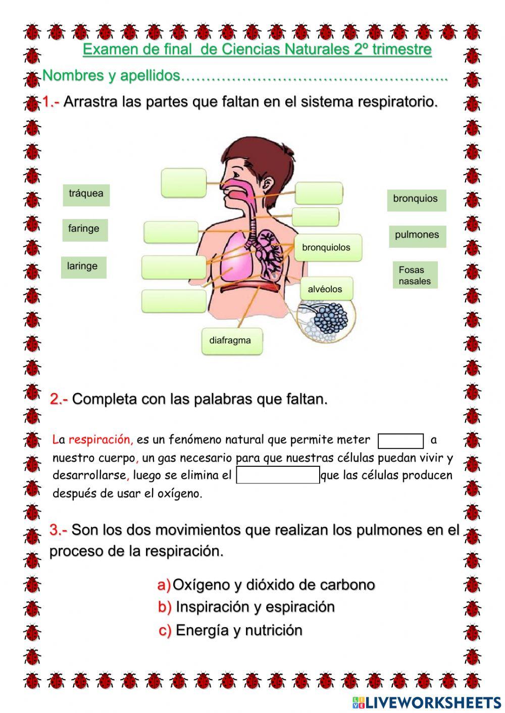 Evaluación Final de C. Naturales 2ºtrimestre