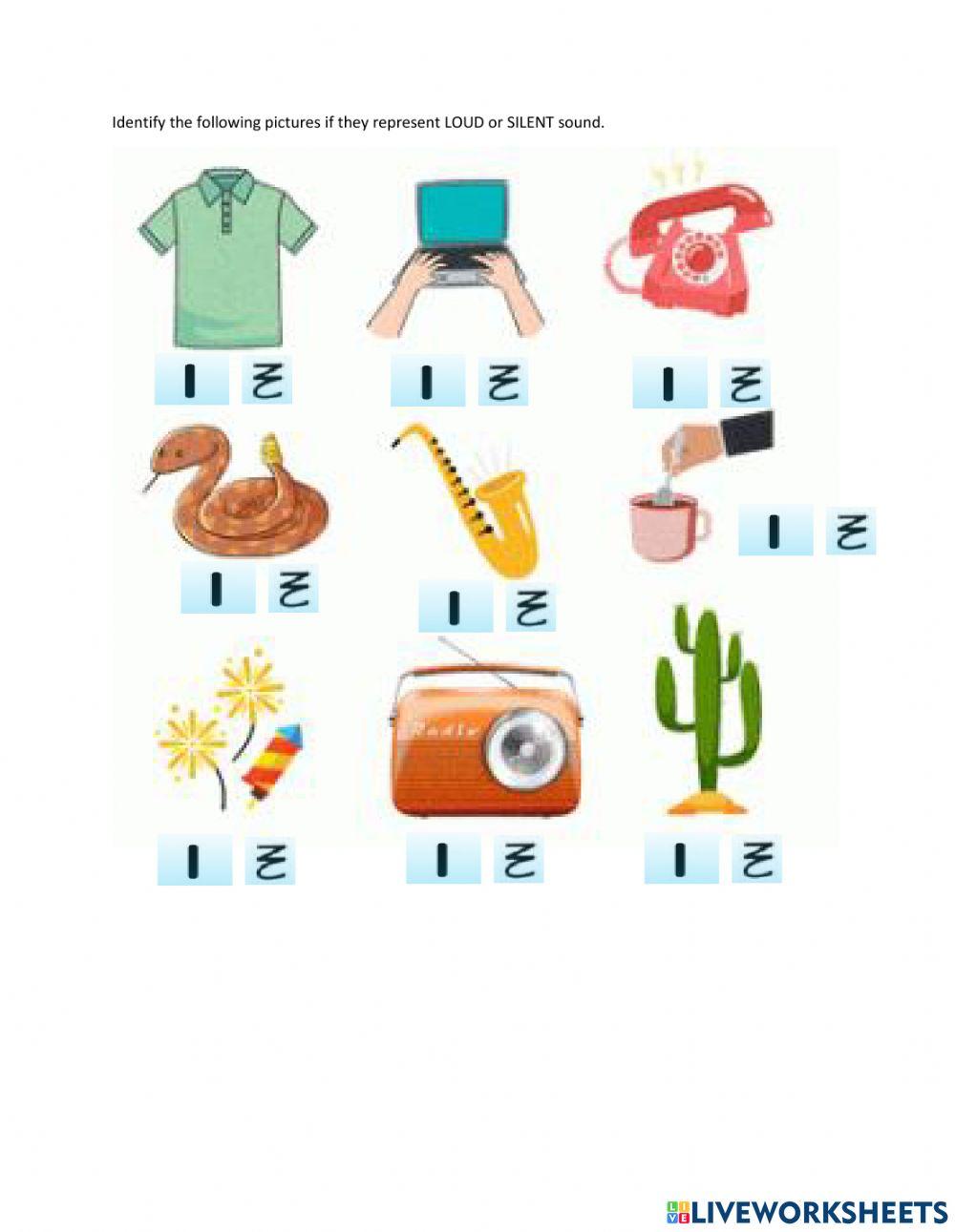 Loud and Silent Sound