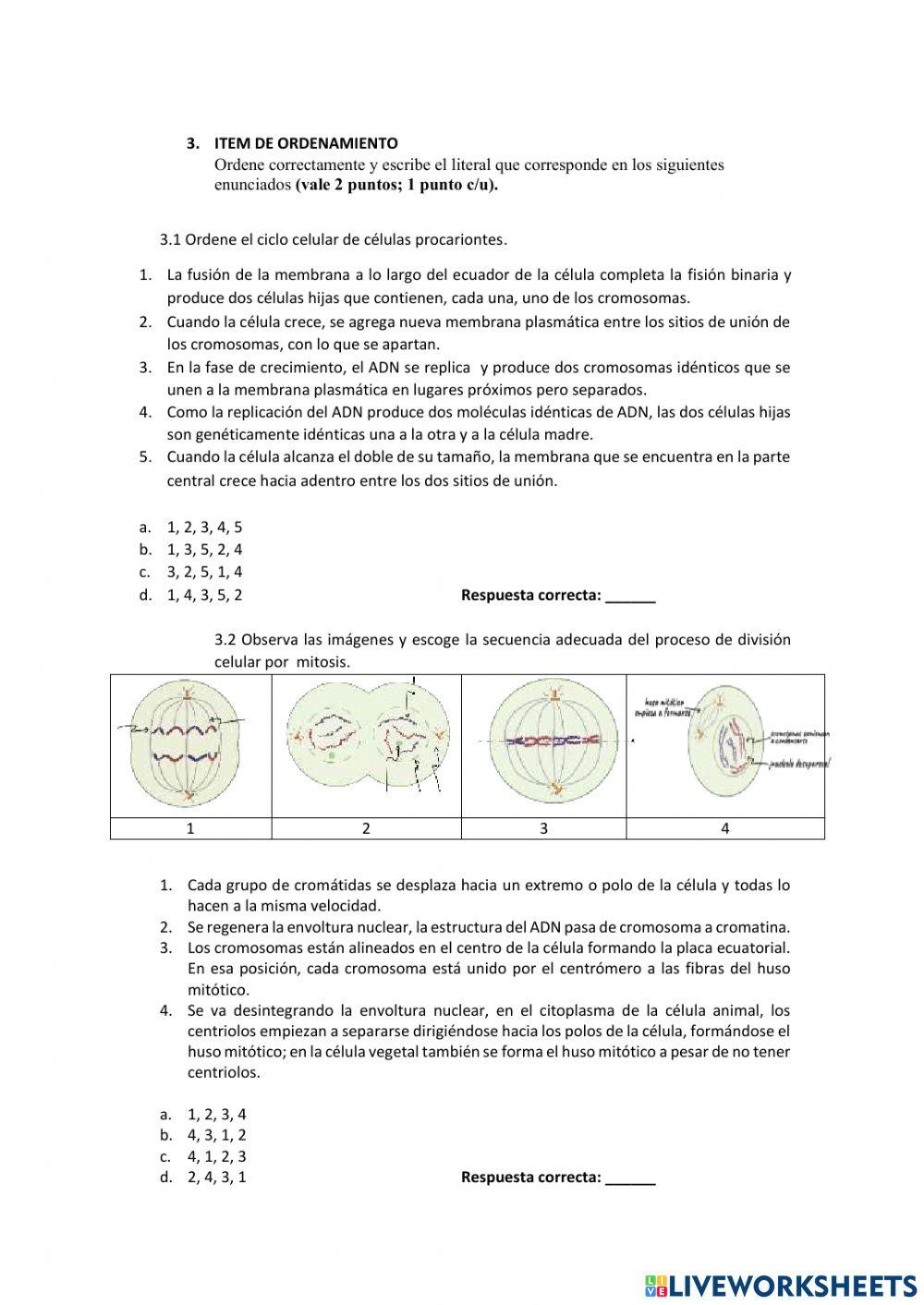 Examen decimo