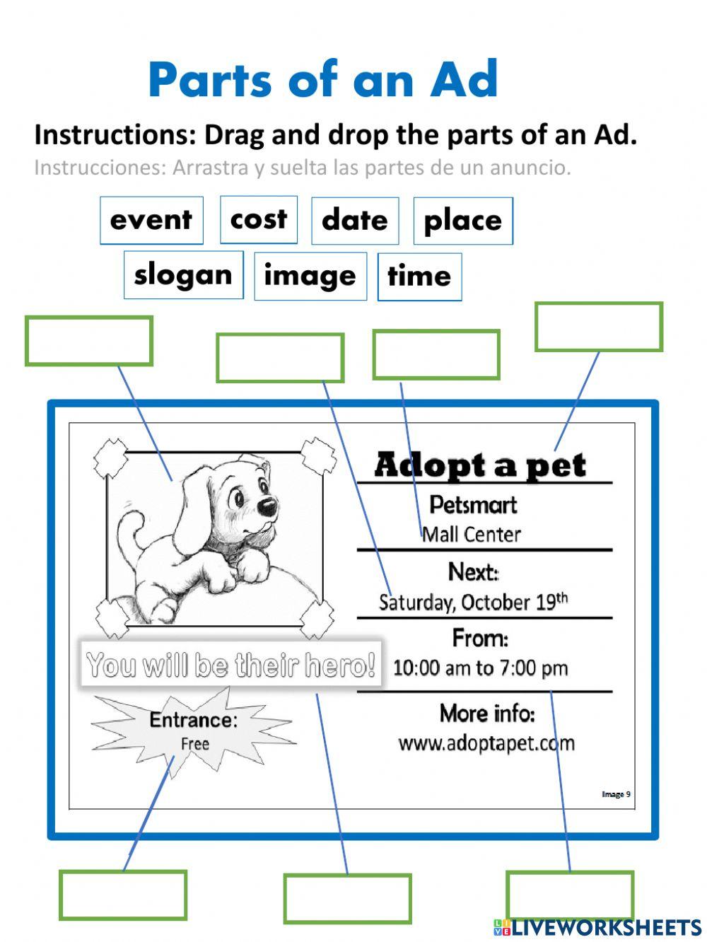 Advertisement Worksheets