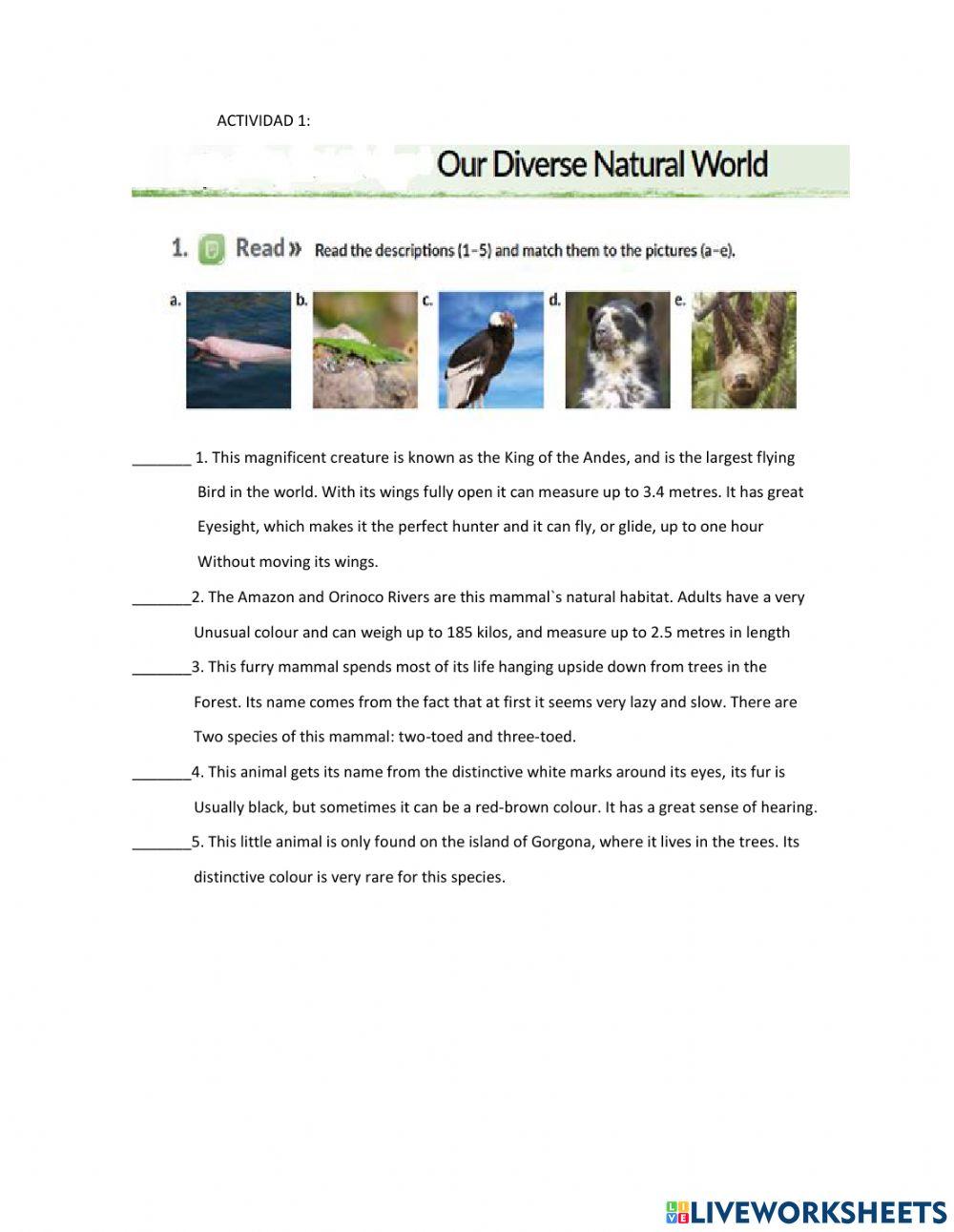 Our Diverse Natural World