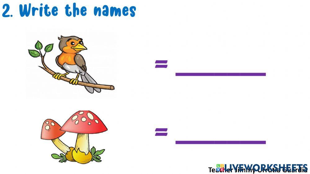 Count the objects and sum