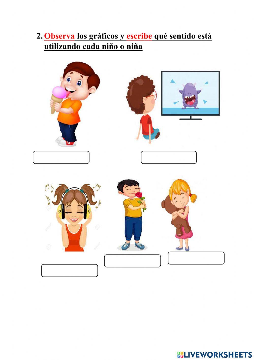 Los órganos de los sentidos