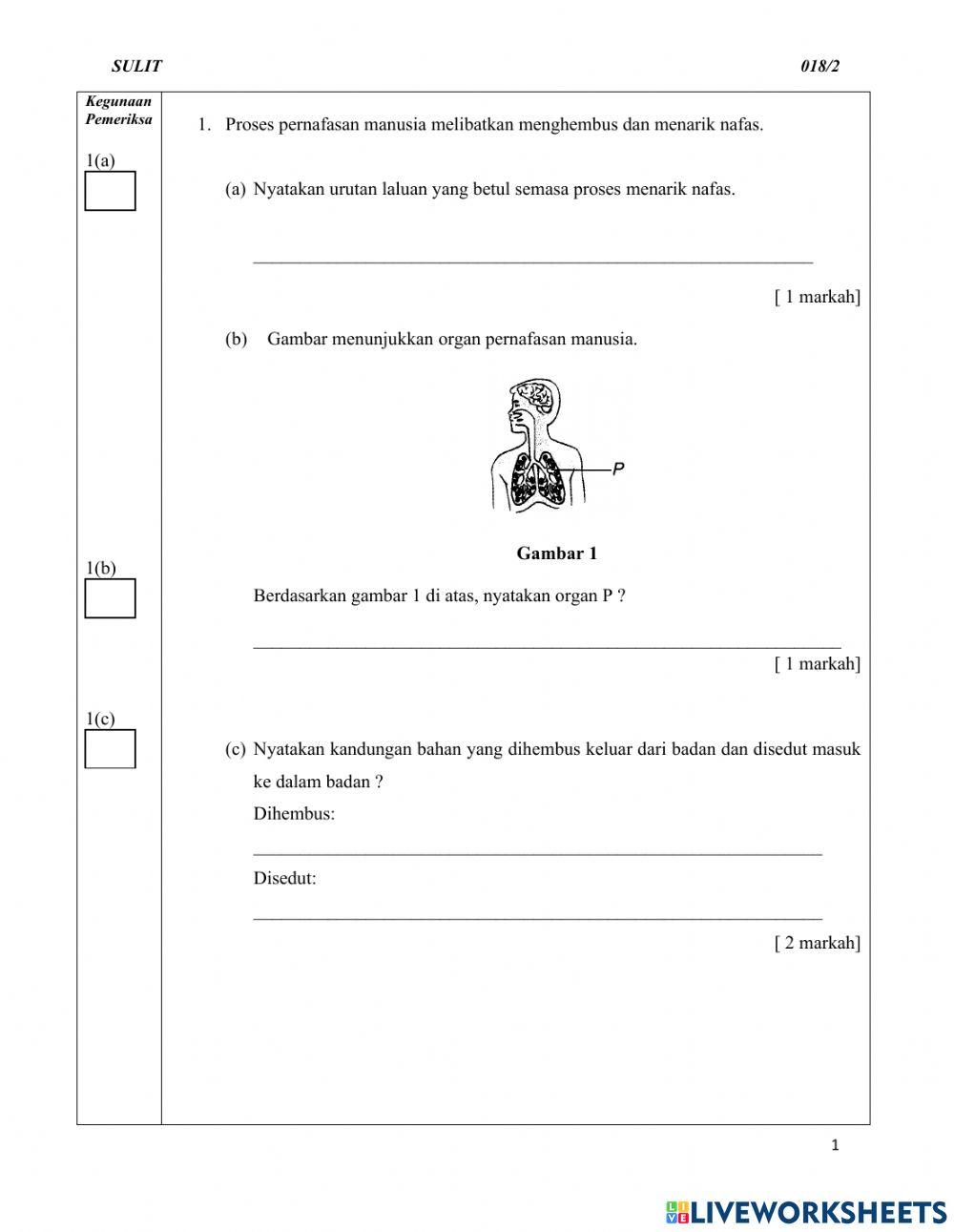 Sains Kertas 2 Tahun 4