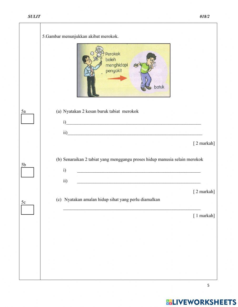 Sains Kertas 2 Tahun 4