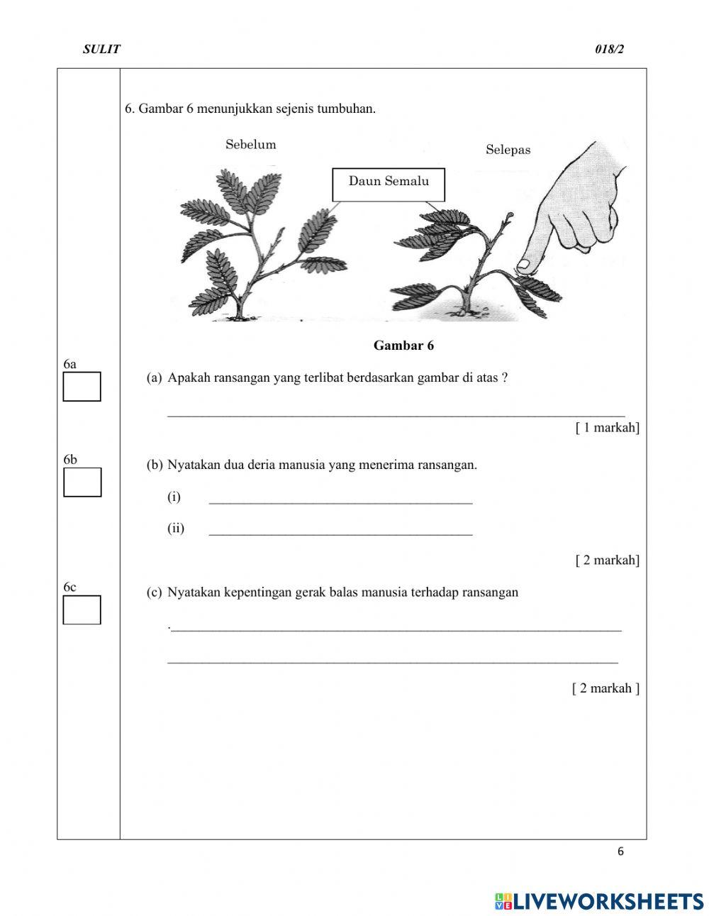 Sains Kertas 2 Tahun 4
