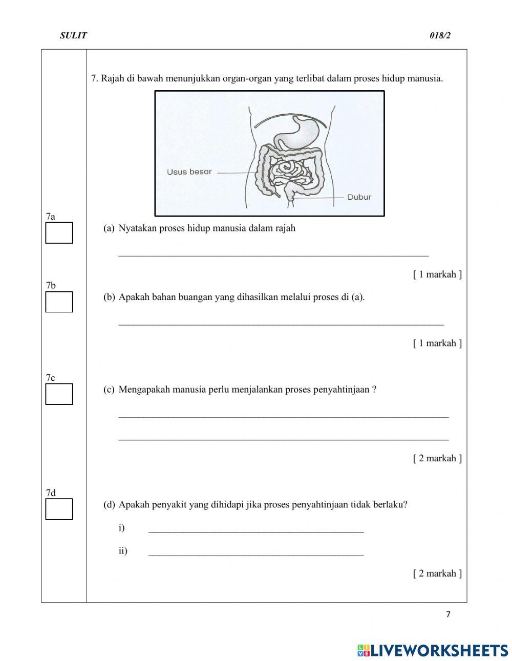 Sains Kertas 2 Tahun 4