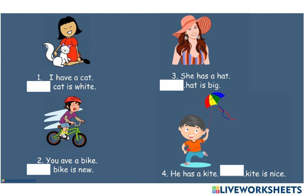 Tính từ sở hữu