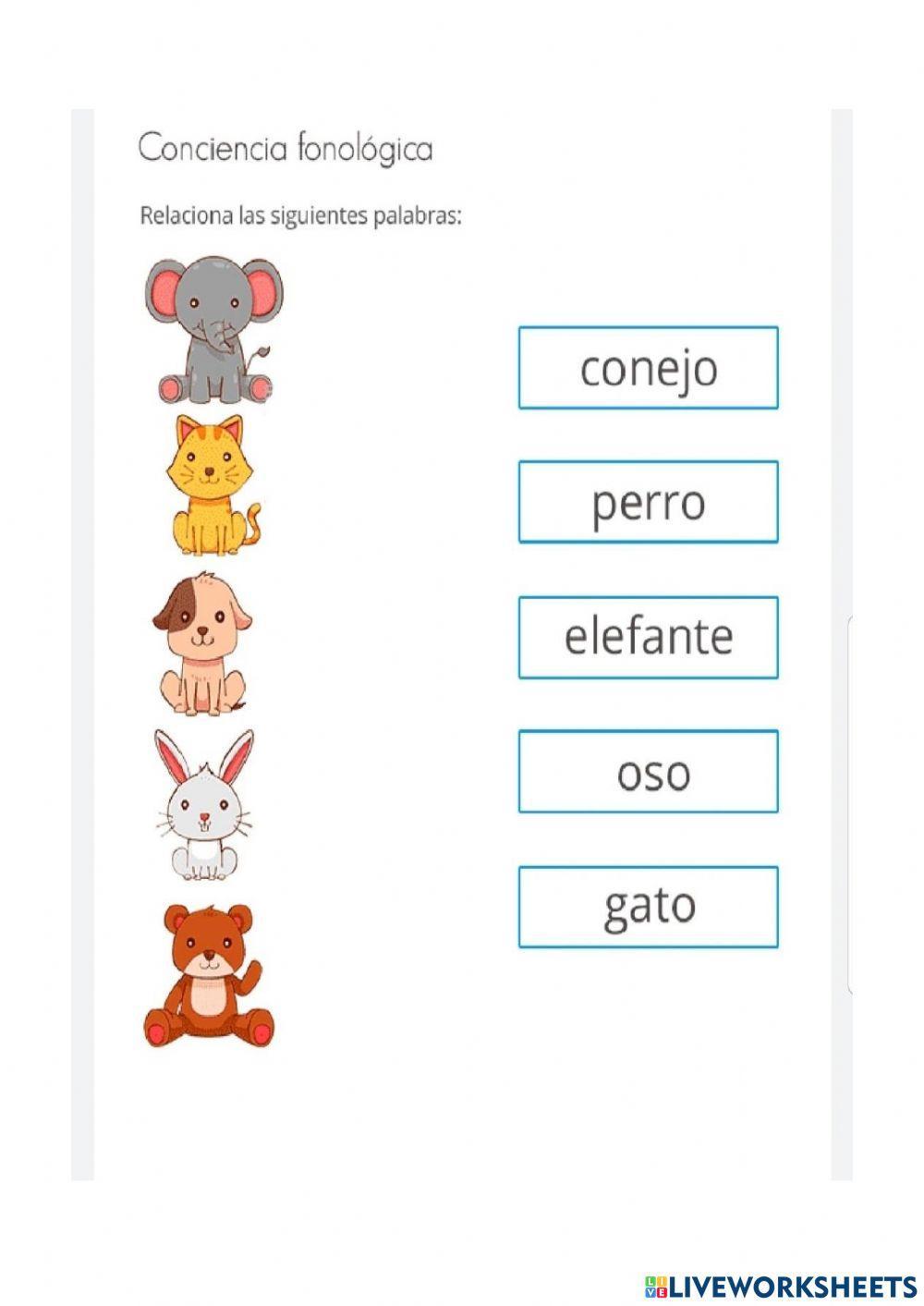Relaciona imagen y palabra