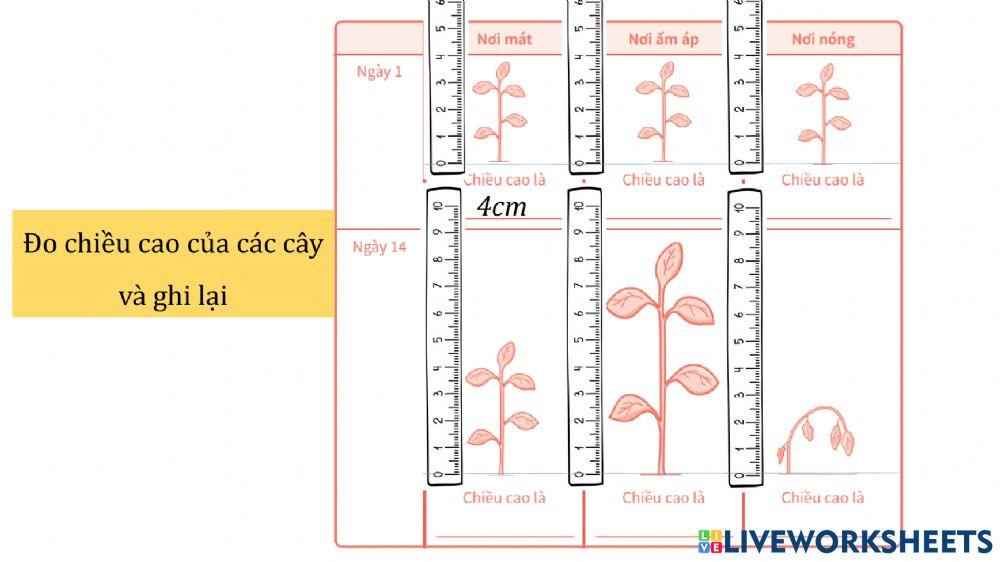 Khoa học 2 tuần 3