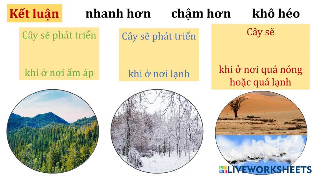 Khoa học 2 tuần 3