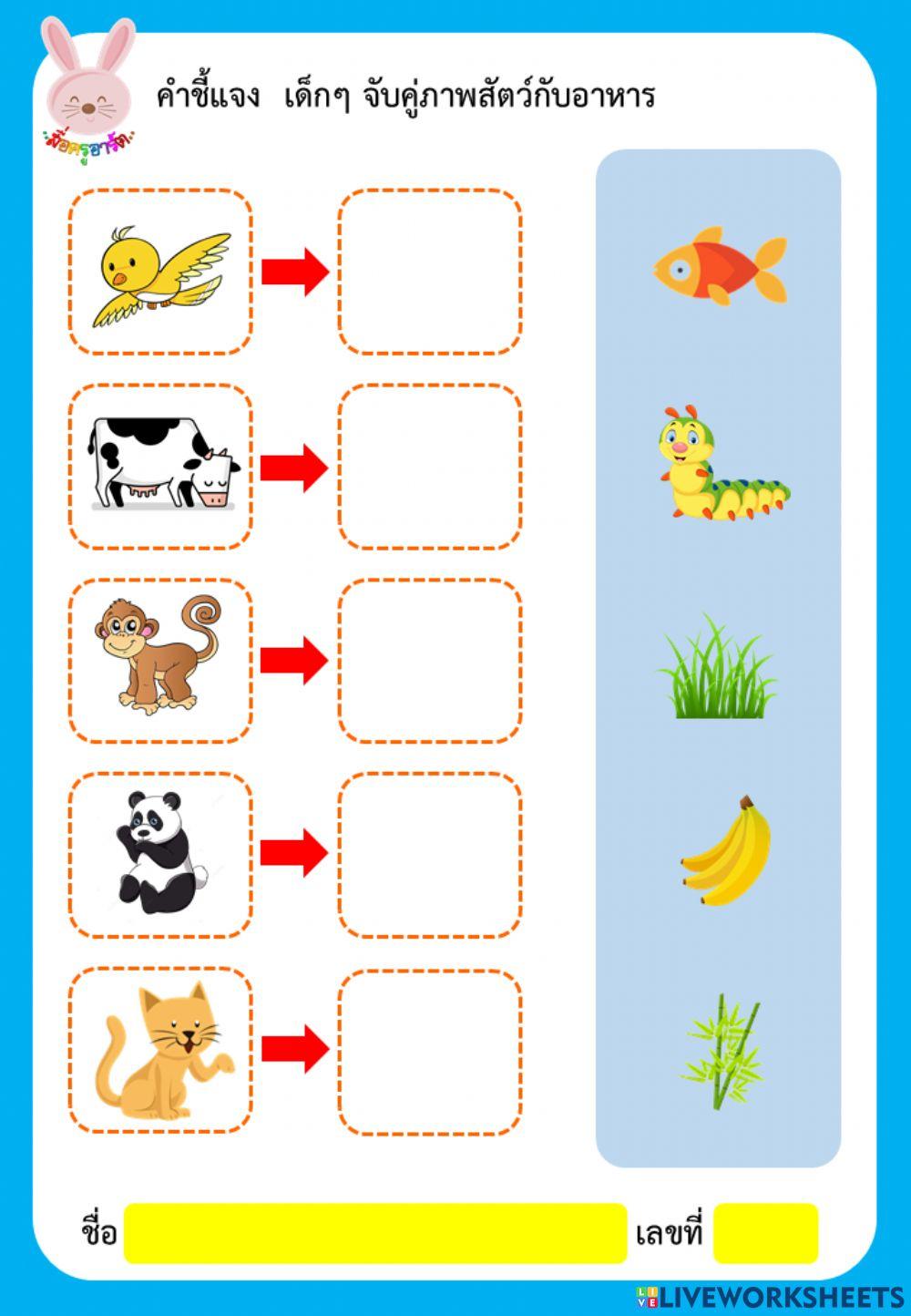 จับคู่ภาพ