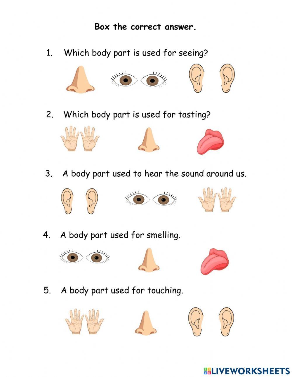 Keeping My Body Clean and My Sense Organs