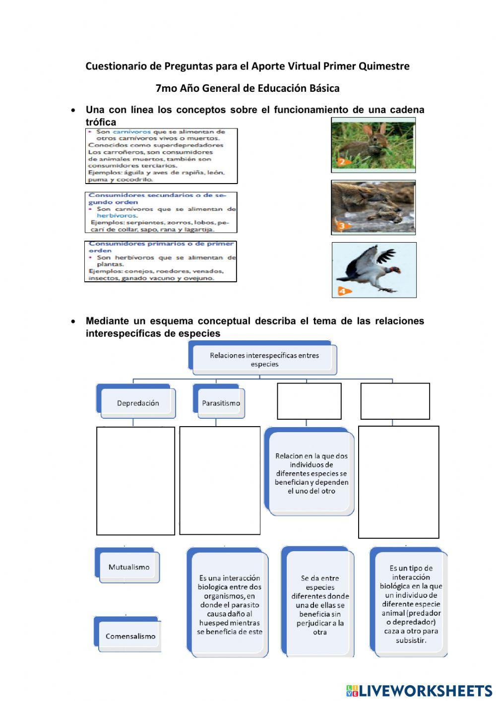 Cuestionario 1er Quimestre 7mo EGB Virtual