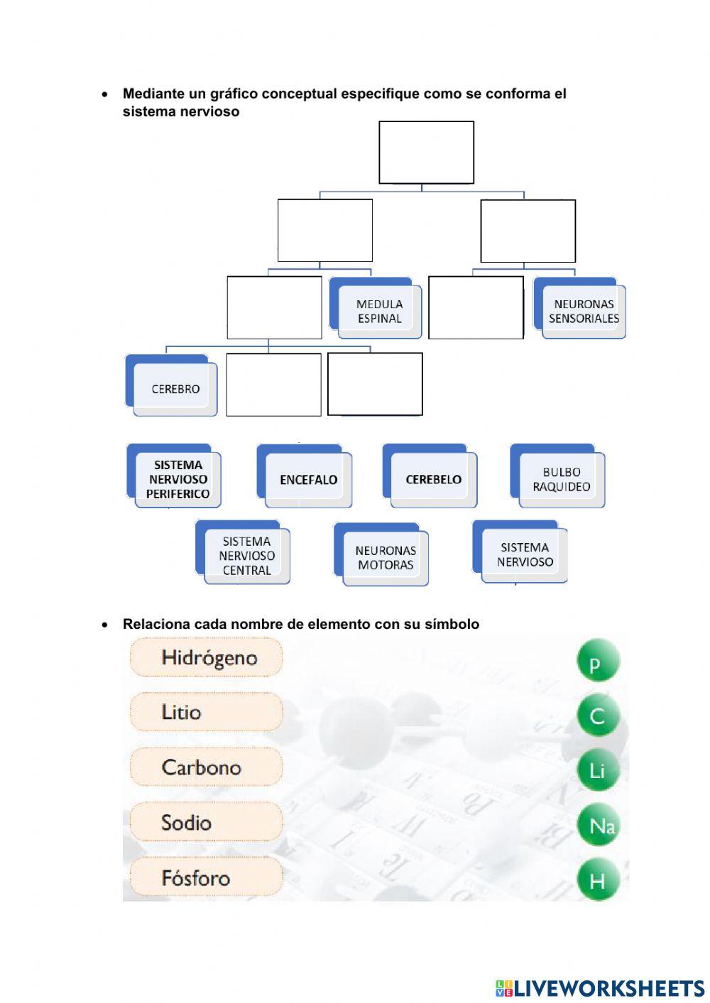 Cuestionario 1er Quimestre 7mo EGB Virtual