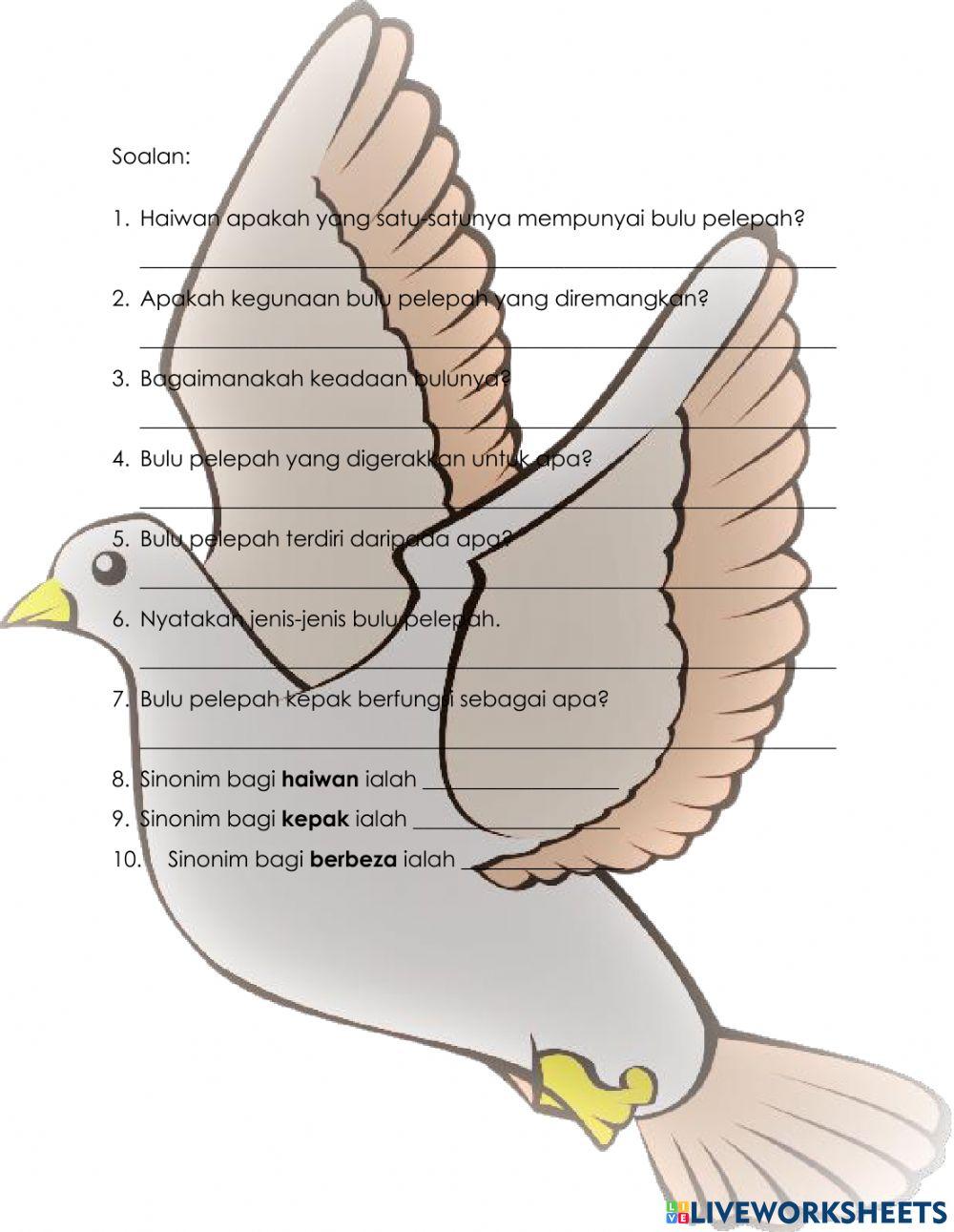 Bacaan & soalan kefahaman