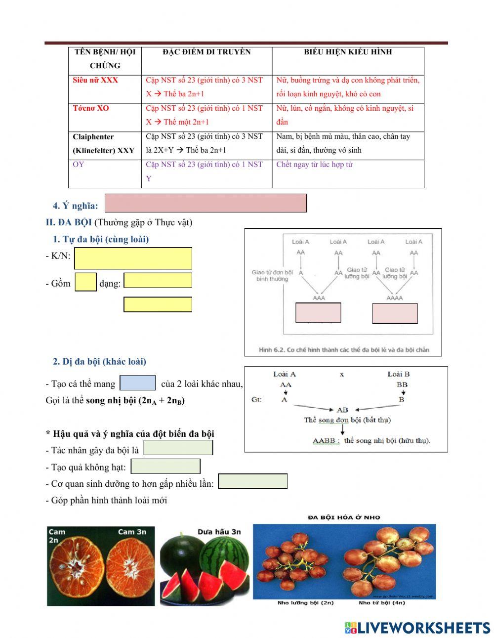 Bài 6.sinh12- đột biến số lượng nst