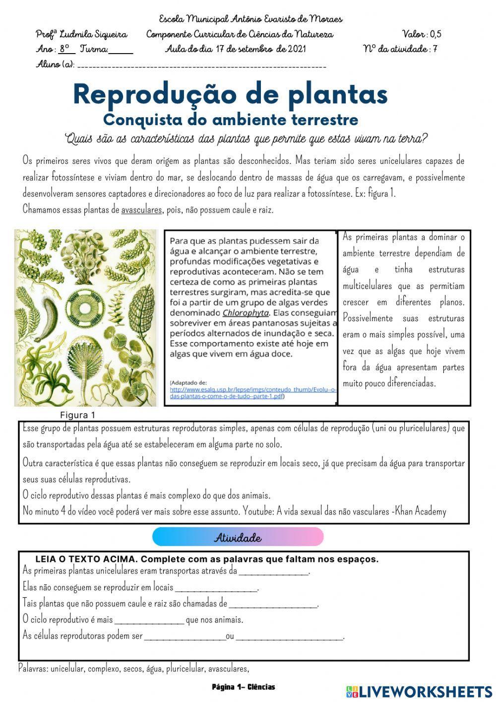 Conquista do ambiente terrestre