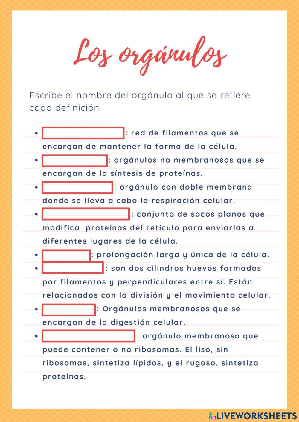 La célula y sus orgánulos