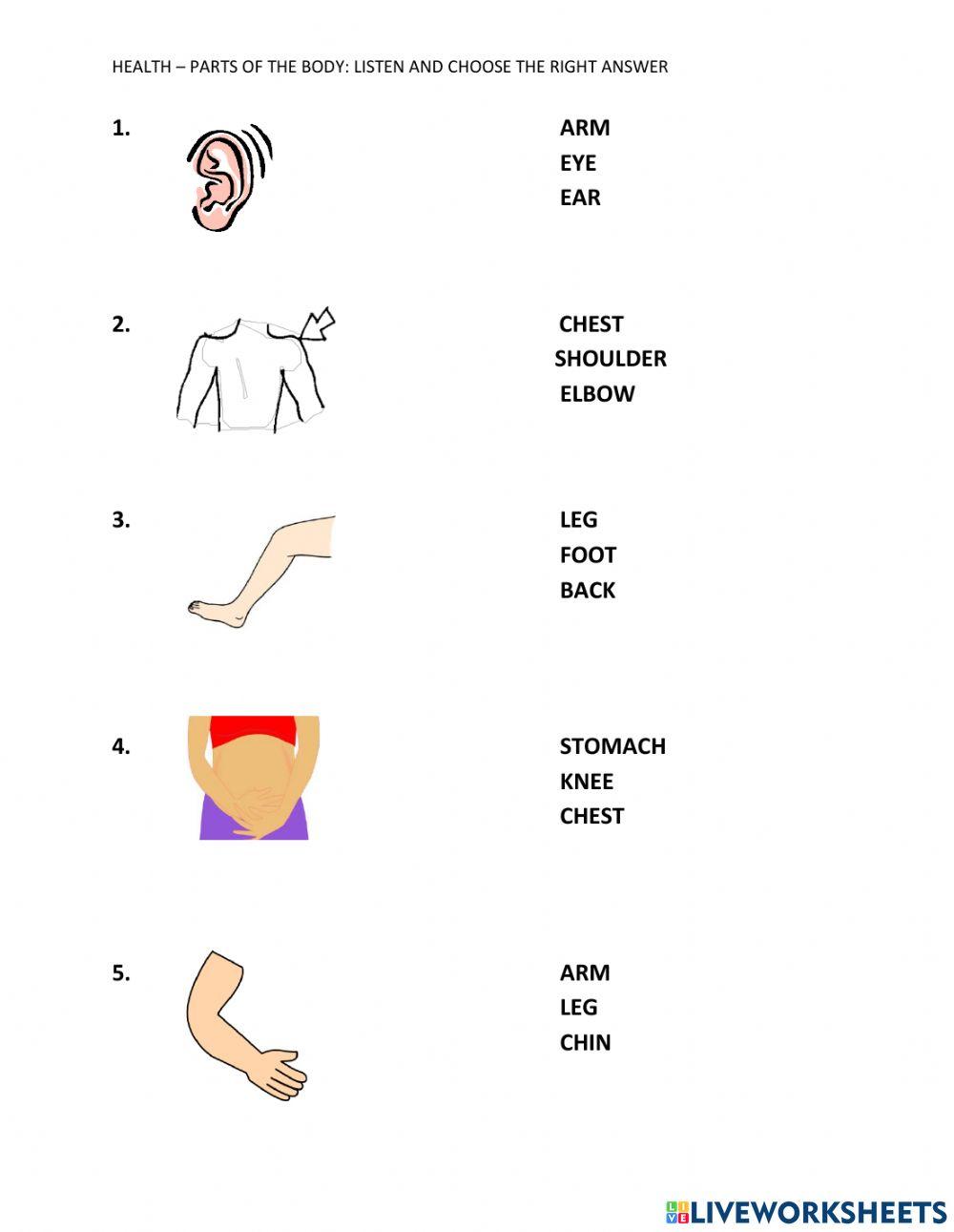Health - Parts of the Body Ex 1