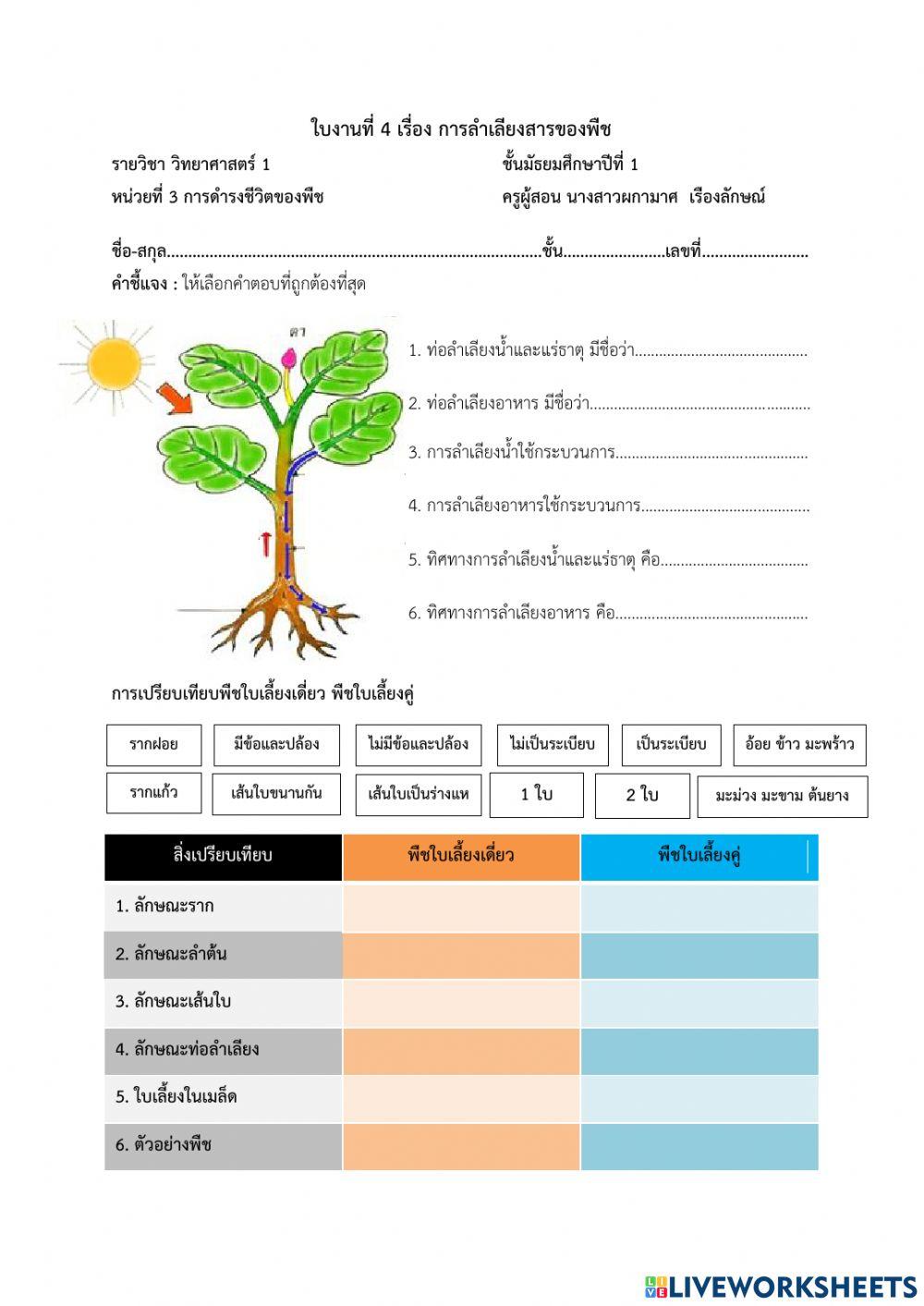 การลำเลียงสารของพืช