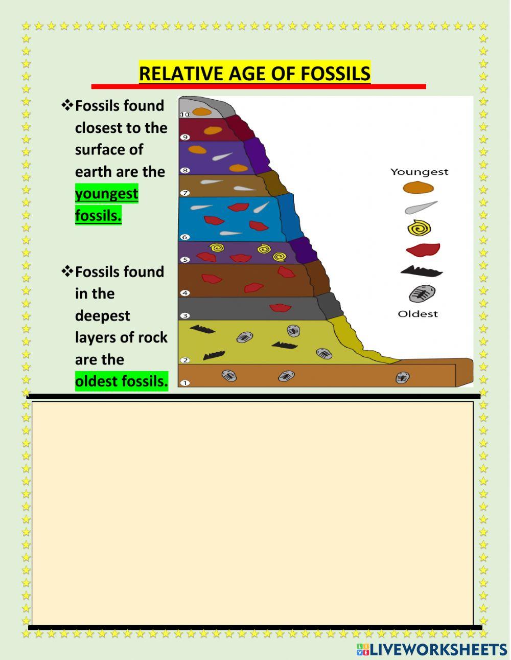 Grade 4 term 1 u3 l2 revision part 1