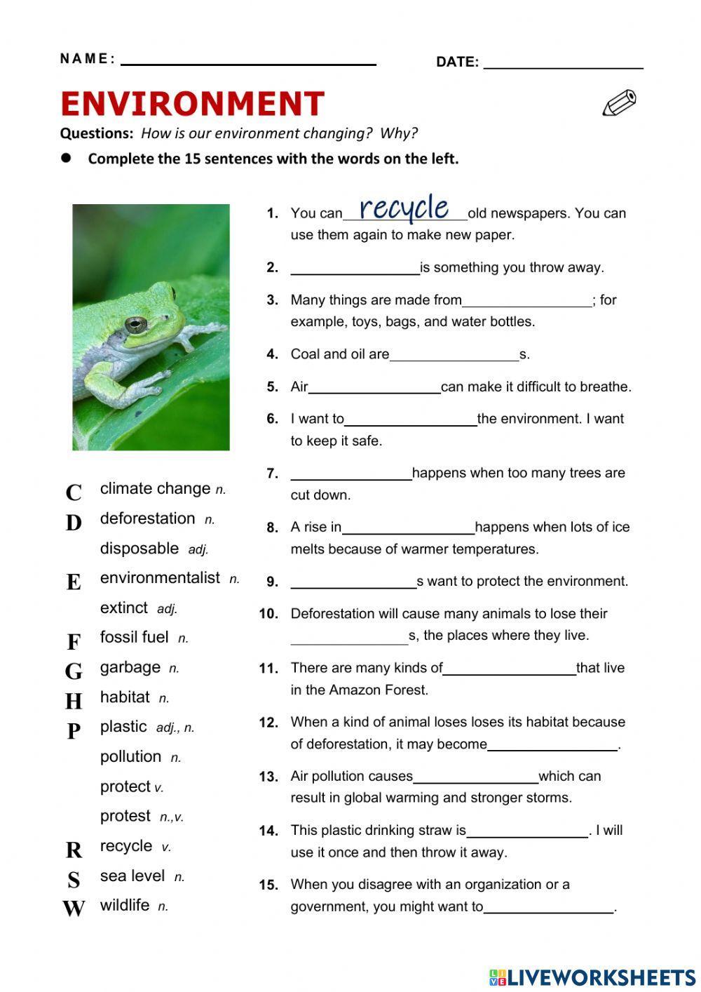 Environmet vocabulary