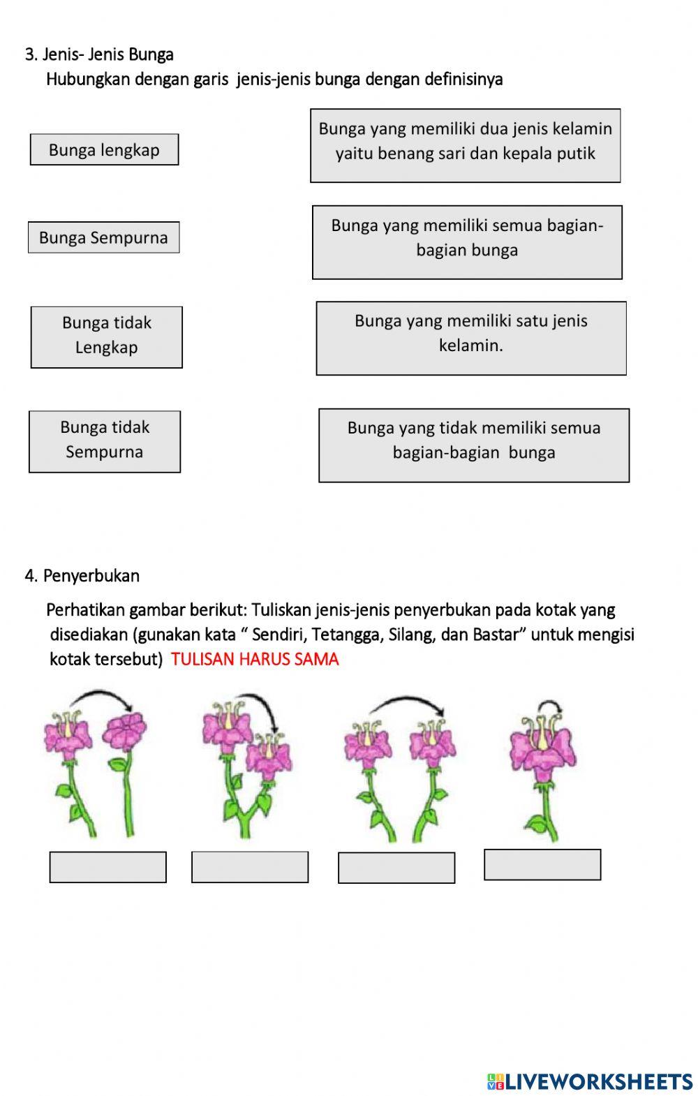 Perkembangbiakan generatif