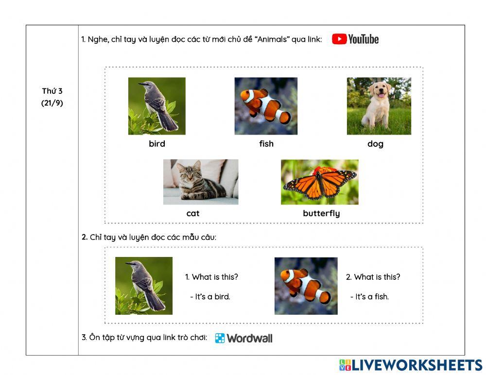 Week 8- Hướng dẫn học online