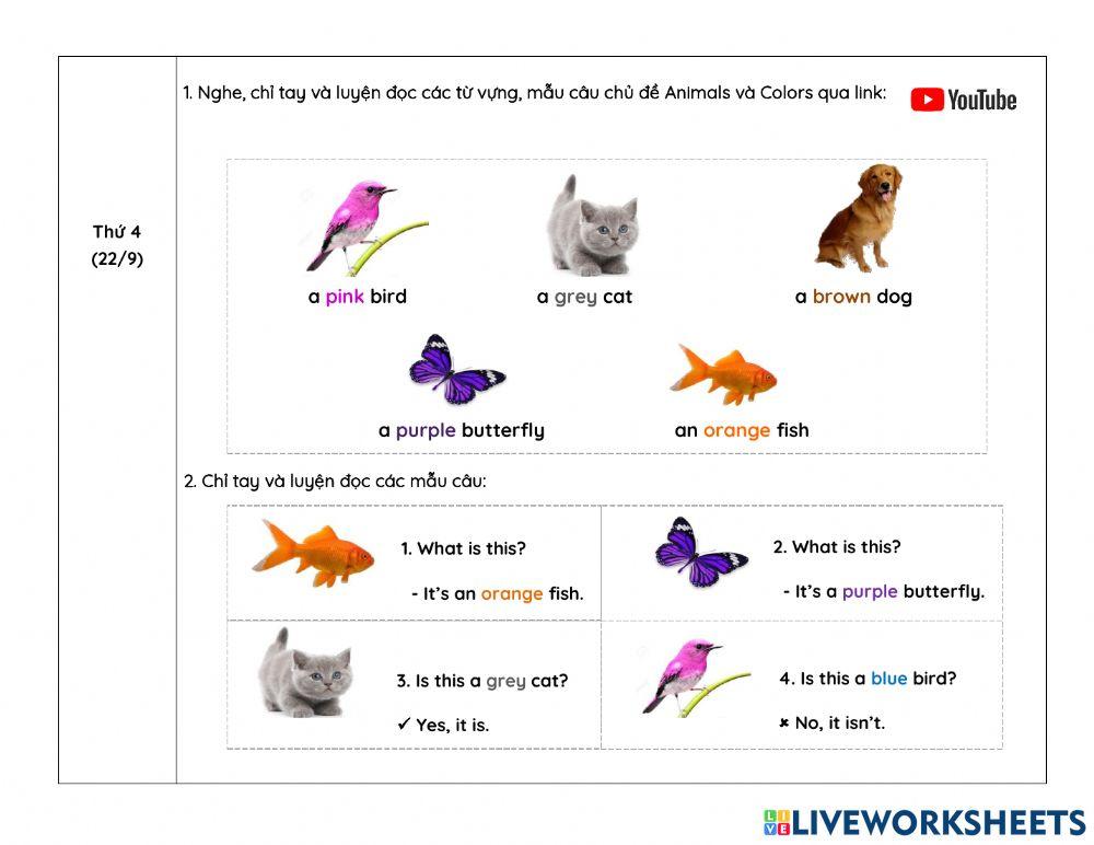 Week 8- Hướng dẫn học online