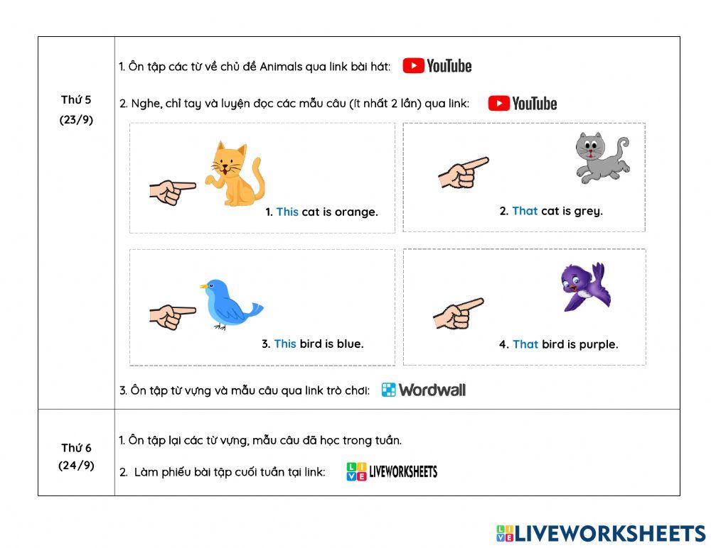 Week 8- Hướng dẫn học online