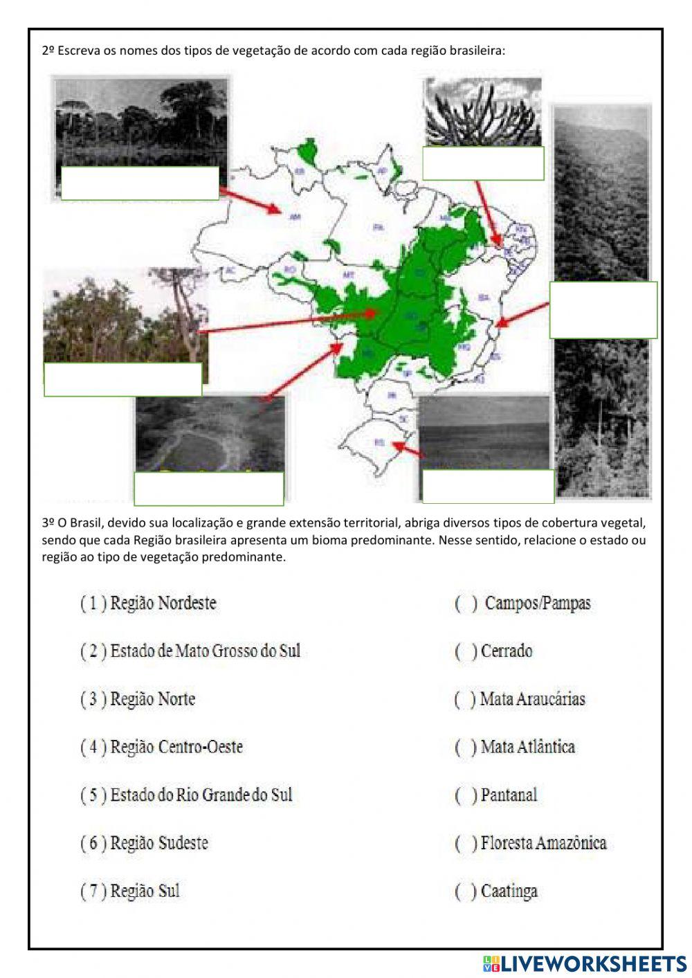 Vegetação brasileira