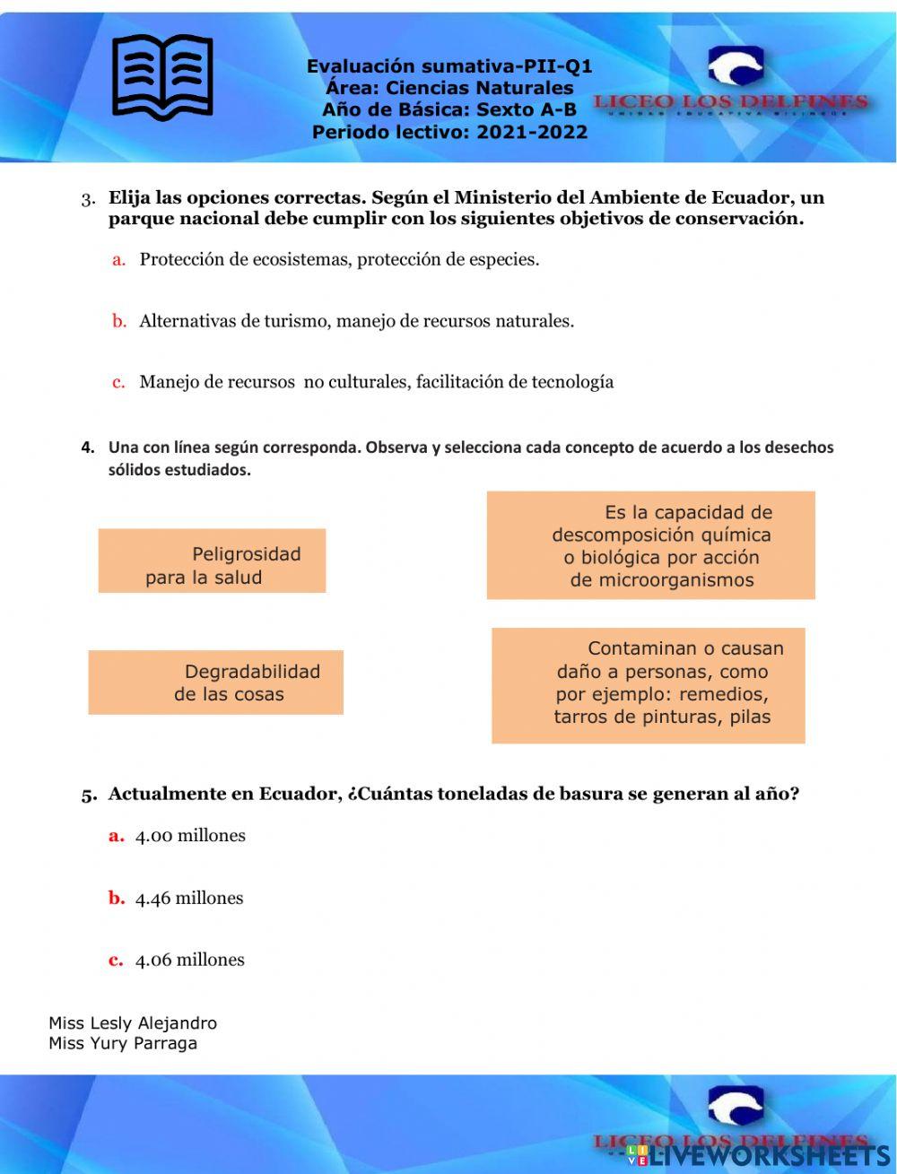 6-evaluación sumativa de CCNN