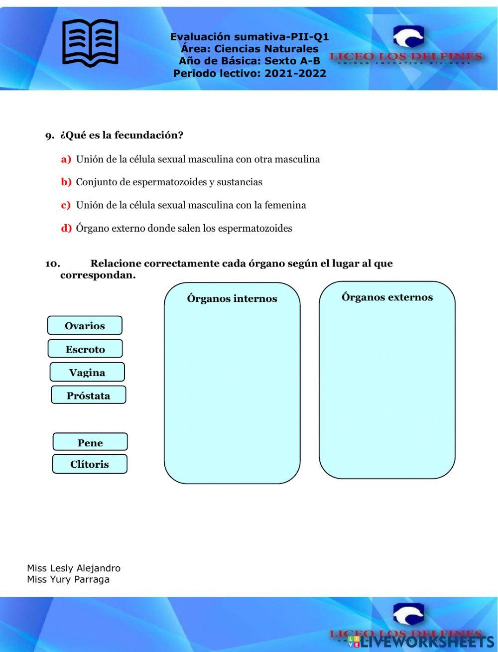 6-evaluación sumativa de CCNN
