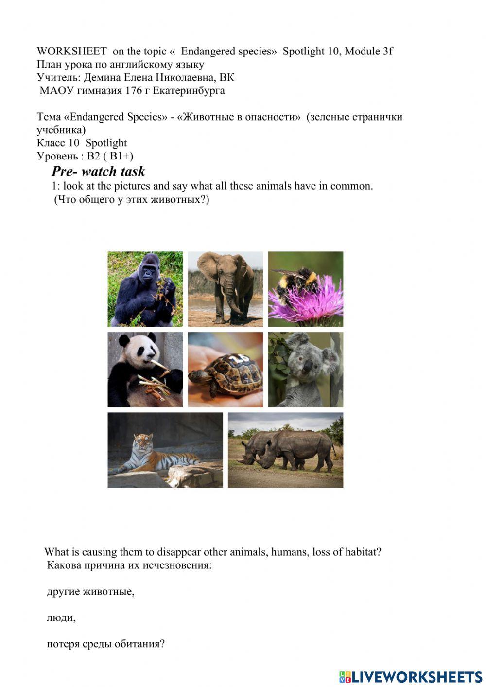 spotlight 10 Module 3F worksheet | Live Worksheets