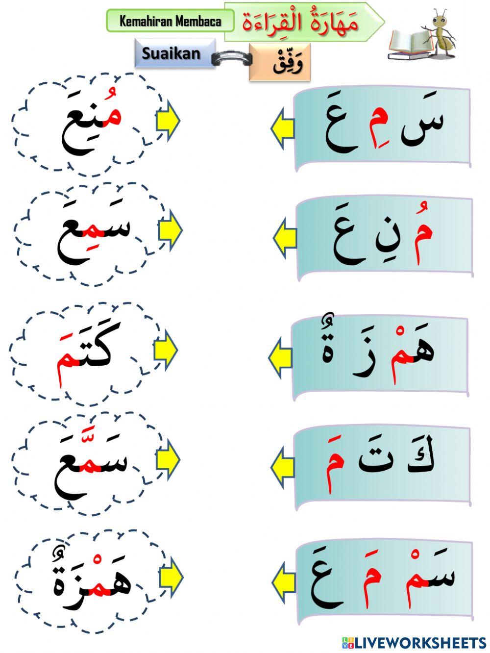 PBD BAHASA ARAB TAHUN 1 ( هَيّا نركز على م)