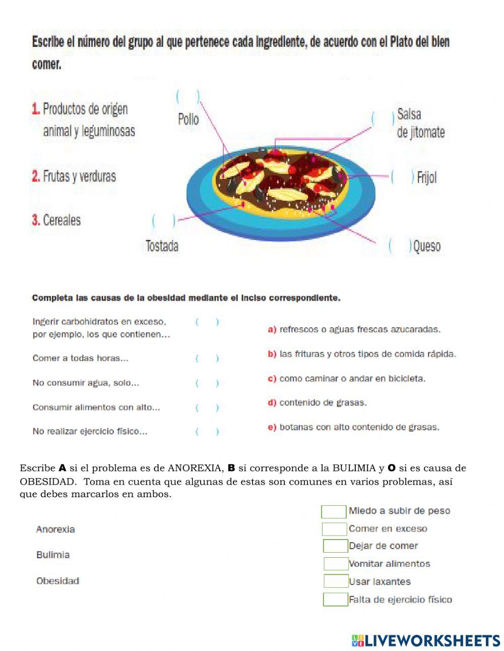Dieta correcta