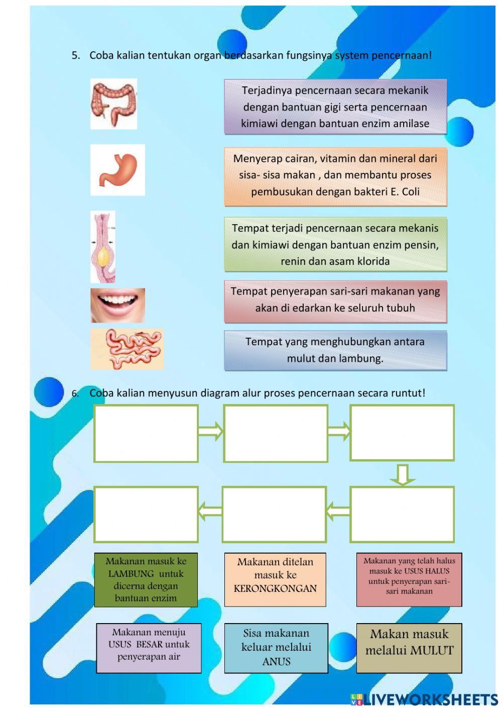 Lkpd kelas v tema 3 subtema 1 p. 2