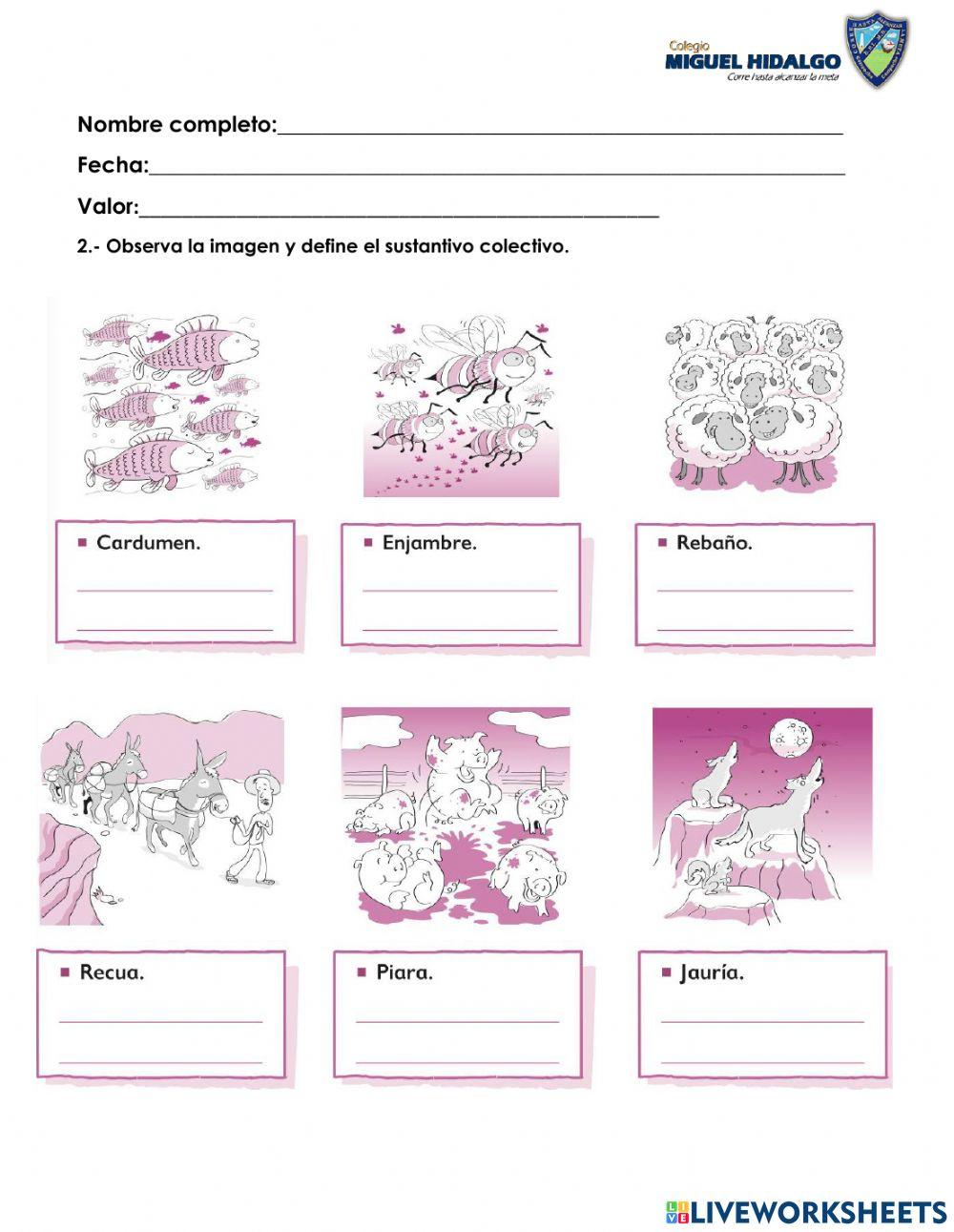 Sustantivos colectivos