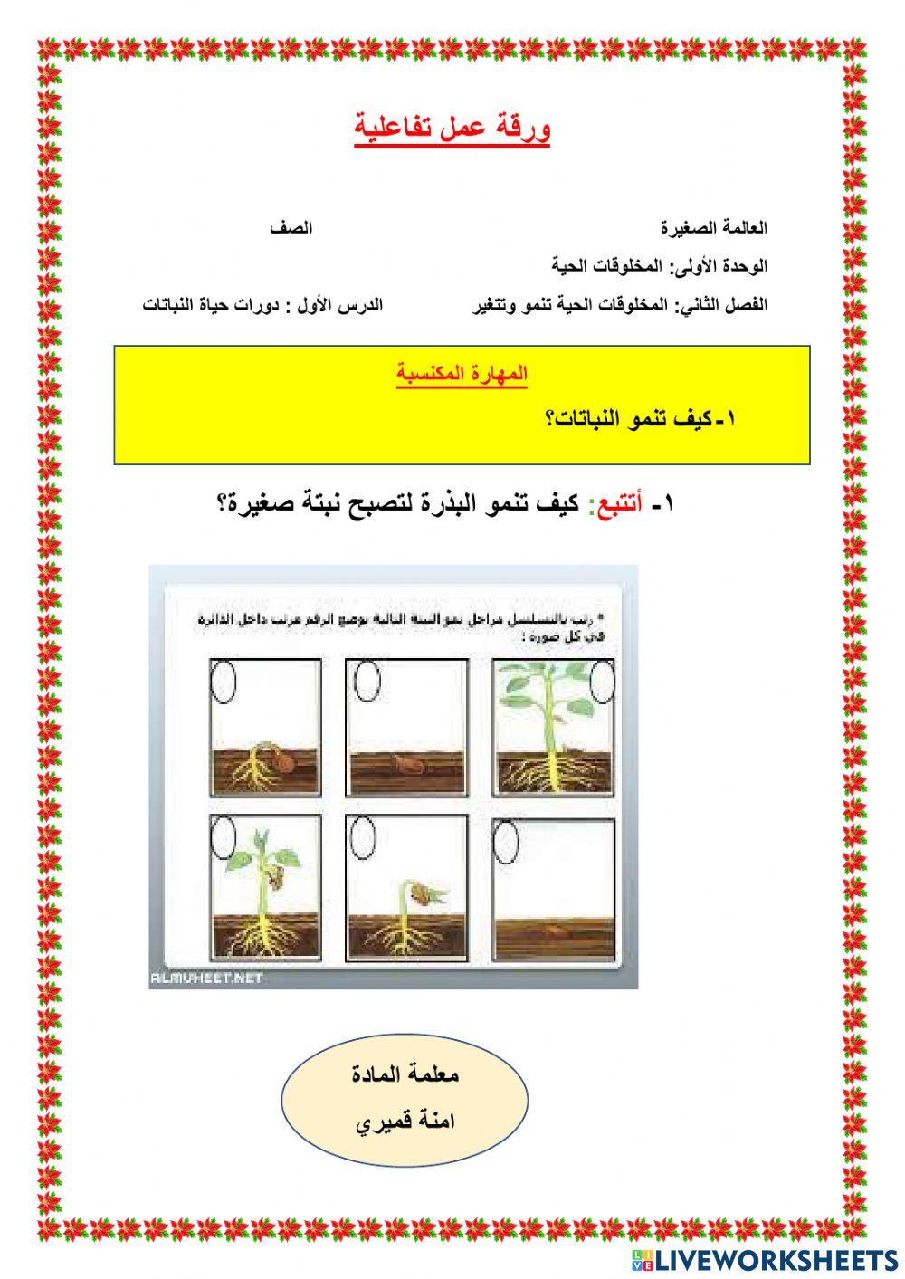 ورقة عمل دورات حياة النباتات