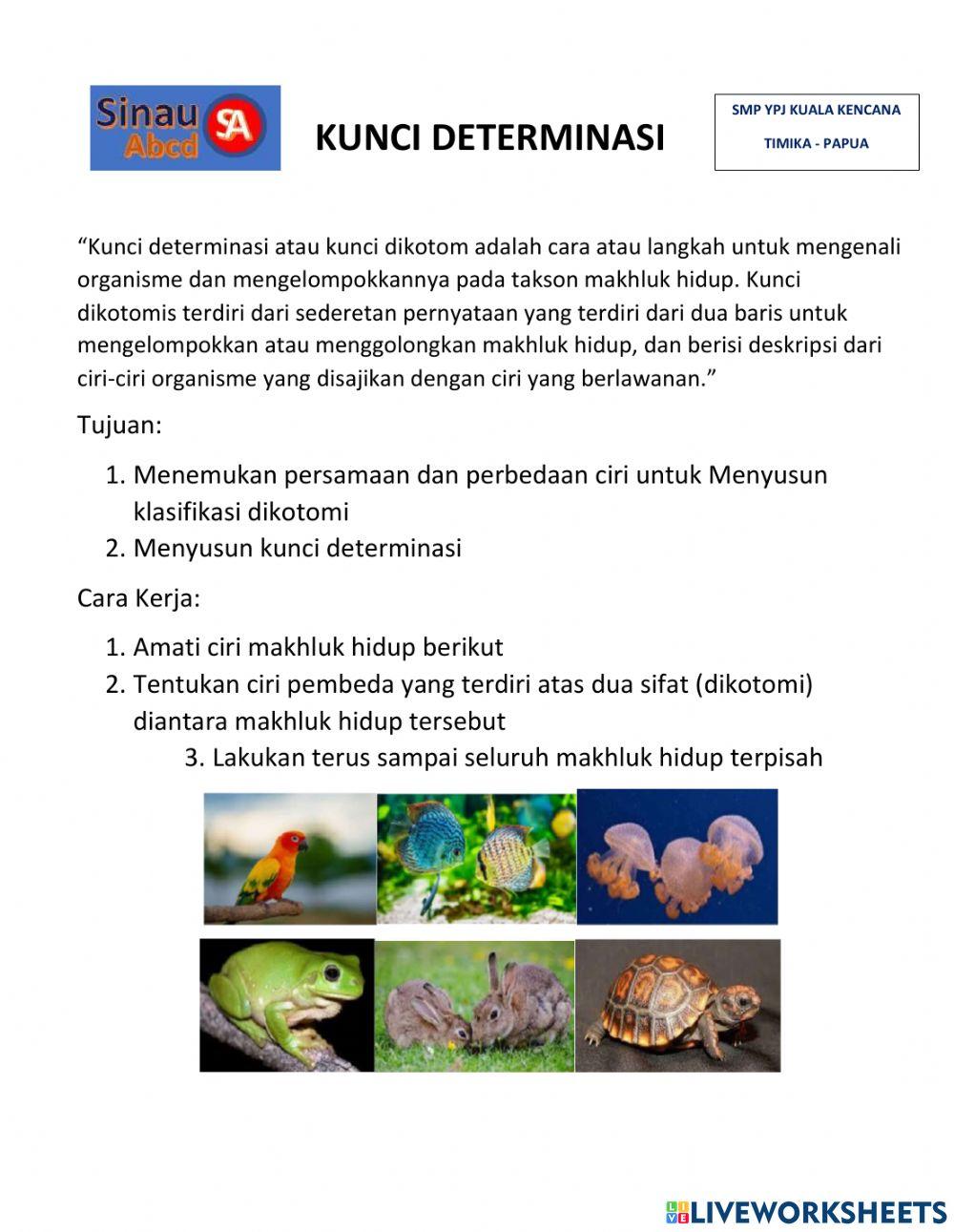 Klasifikasi Kunci Determinasi Dikotomi