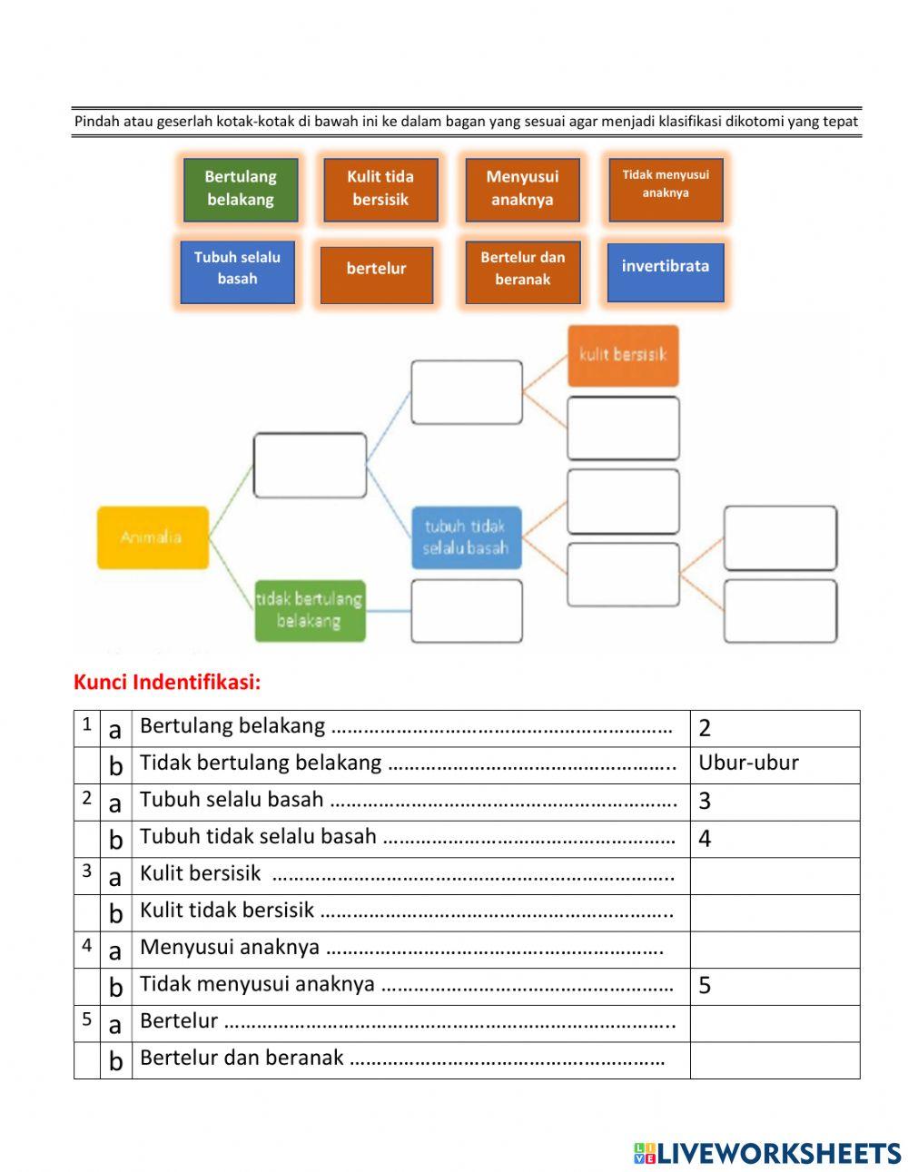 Klasifikasi Kunci Determinasi Dikotomi