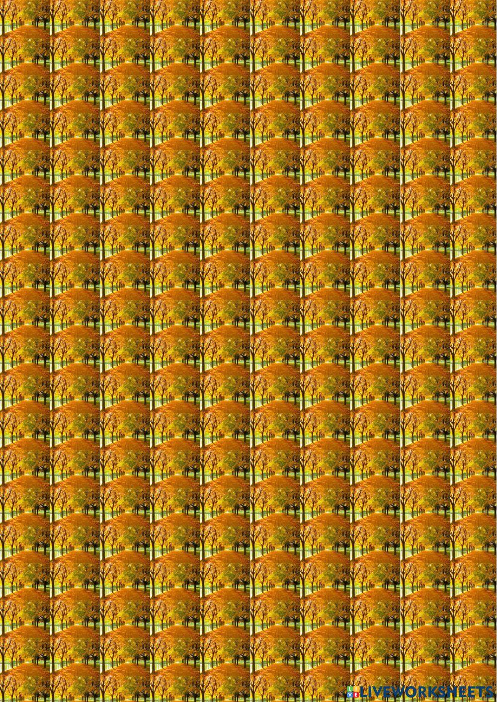 Exam Skills Trainers 2