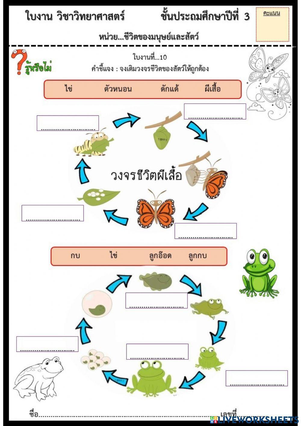 วิทยาศาสตร์ ป.3 20-24 กันยายน 2564