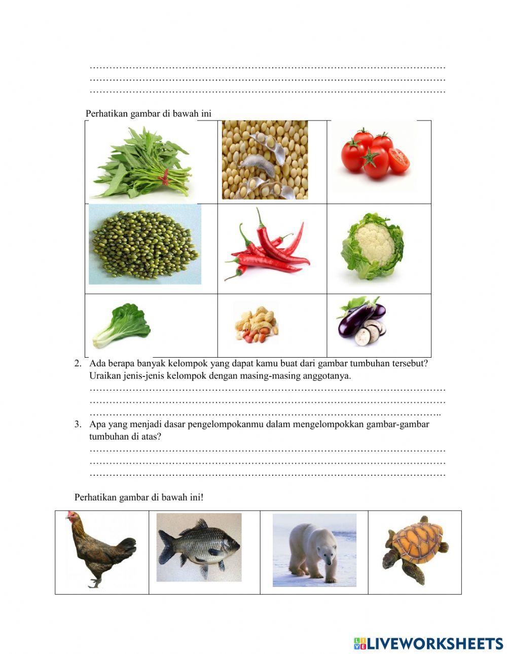 Klasifikasi Makhluk Hidup