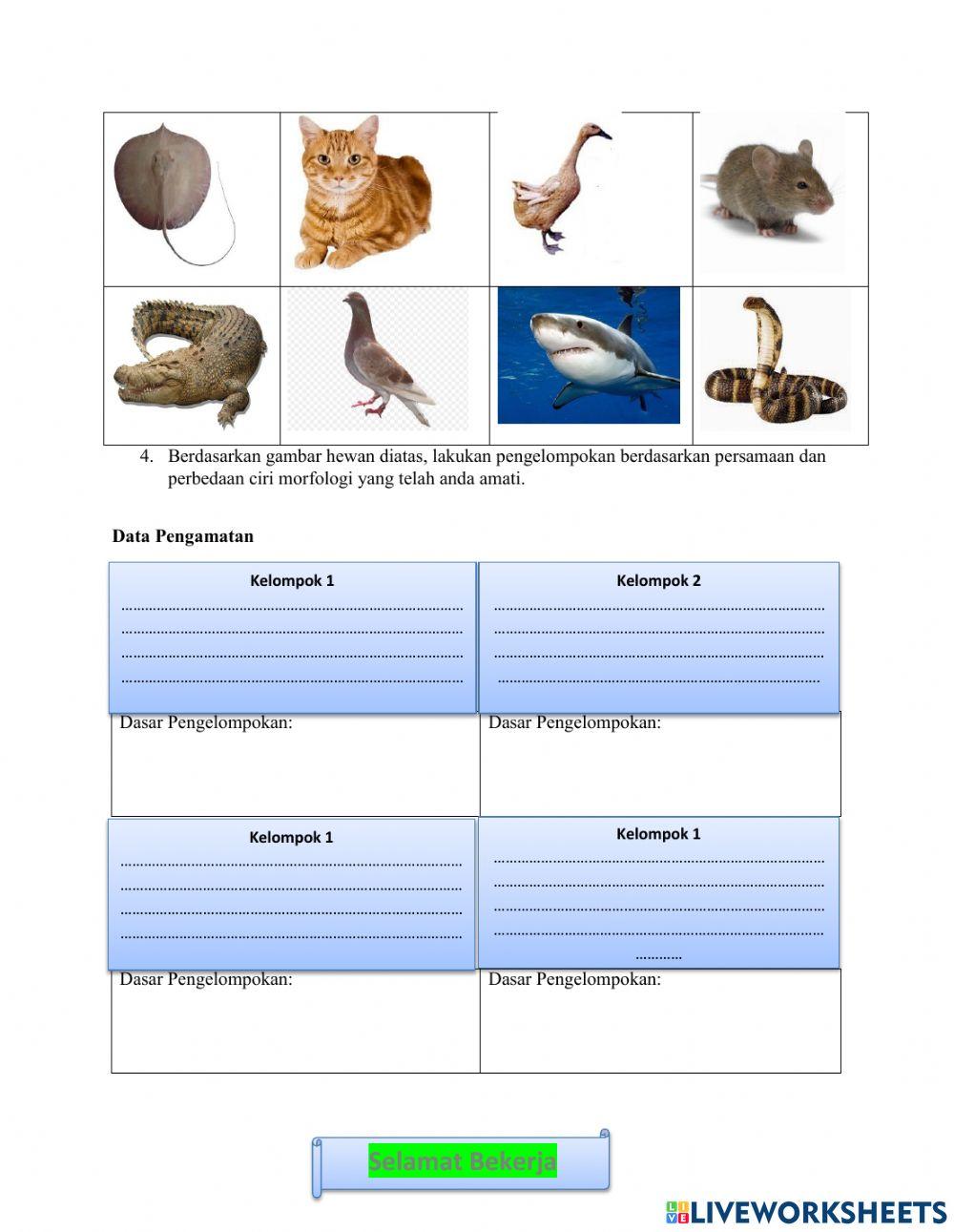 Klasifikasi Makhluk Hidup