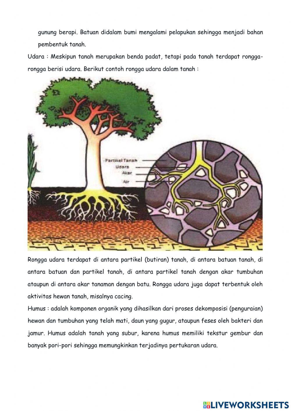 Lkpd 3.9-2 Tanah dan Keberlangsungan Kehidupan 2