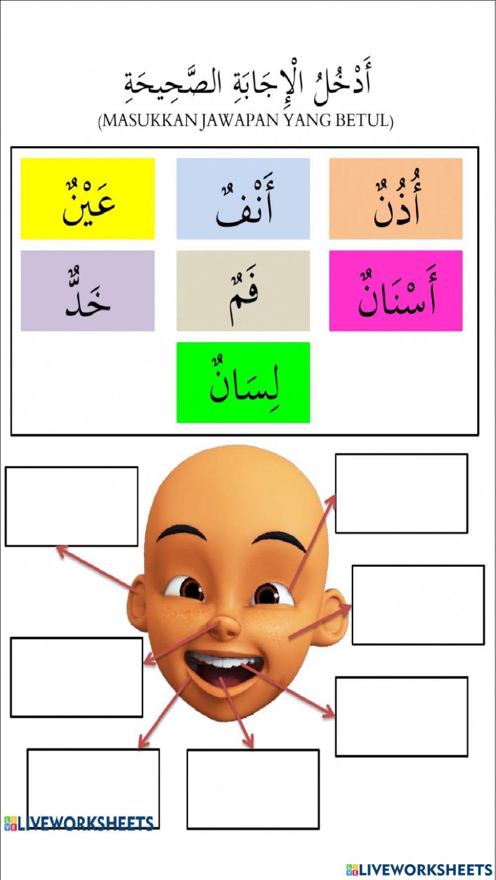 Anggota badan dalam bahasa arab