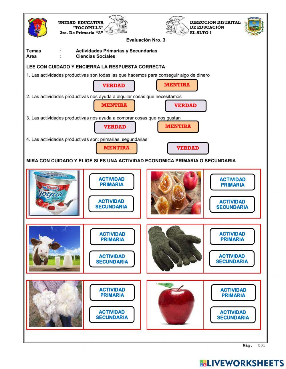 Actividades productivas
