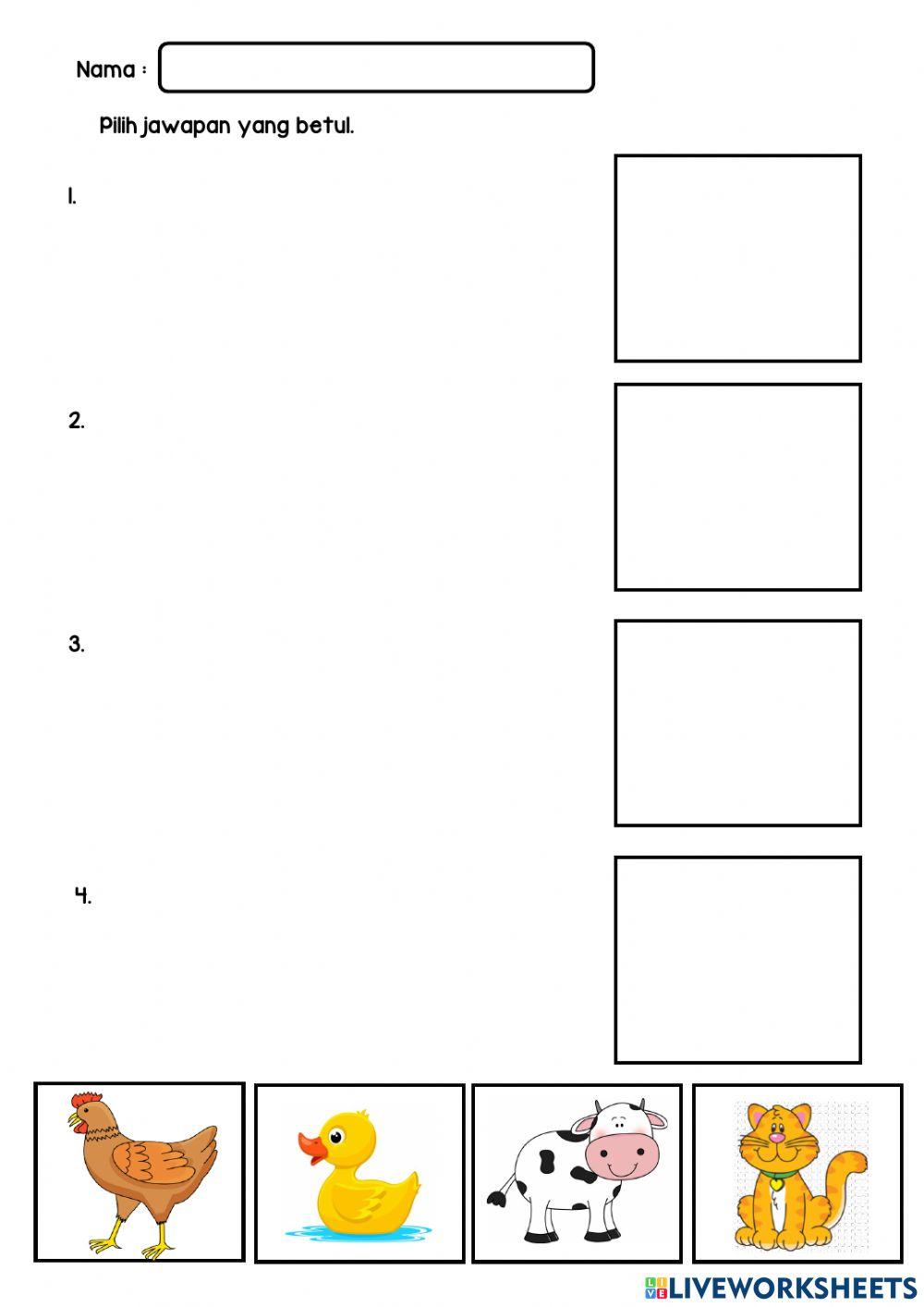 Pengamatan Pendengaran